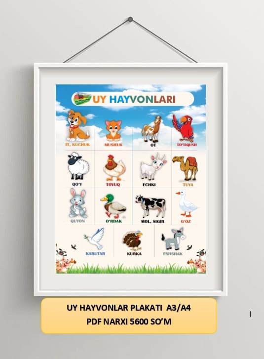 UY HAYVONLARI PLAKATI
