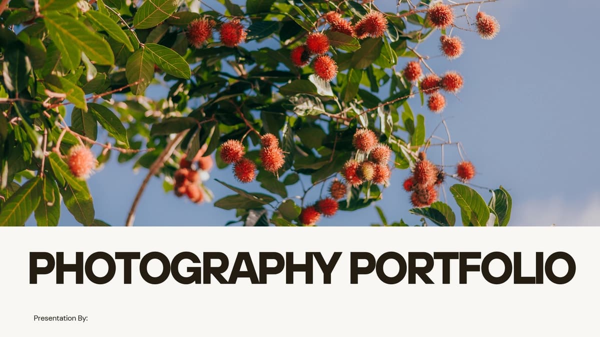 Portfolio fotograf