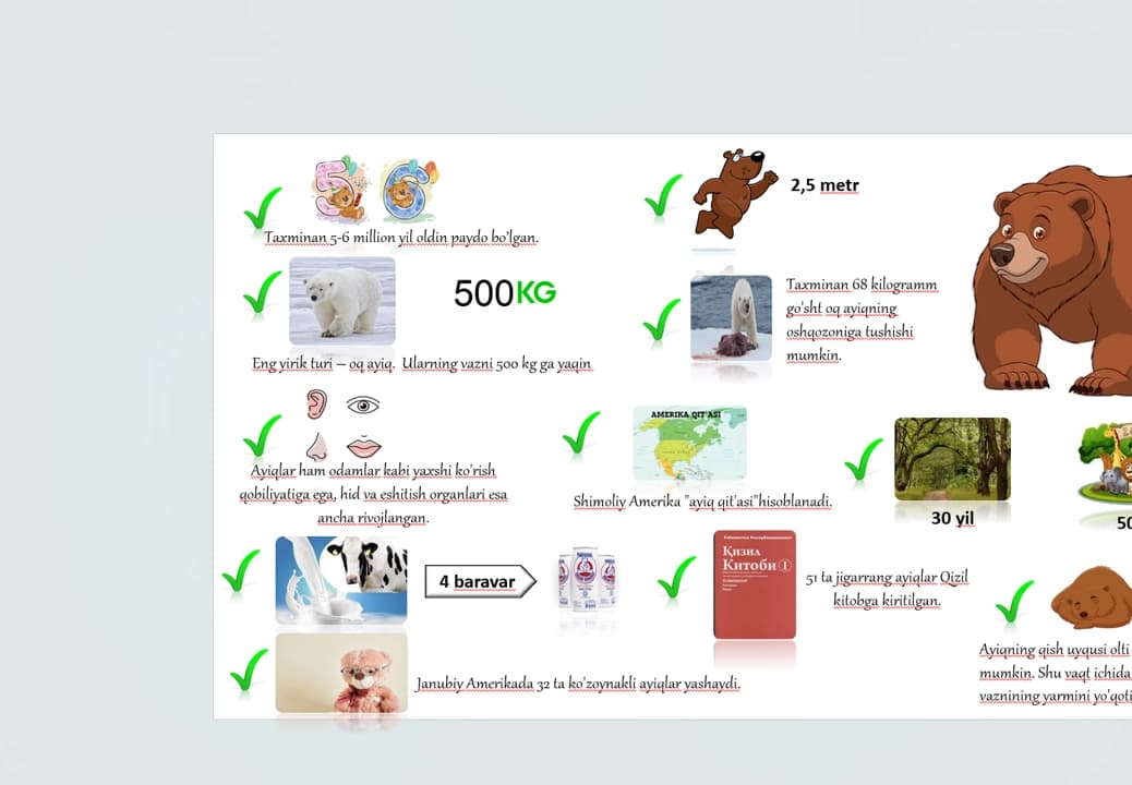 Ayiq haqida infografiya