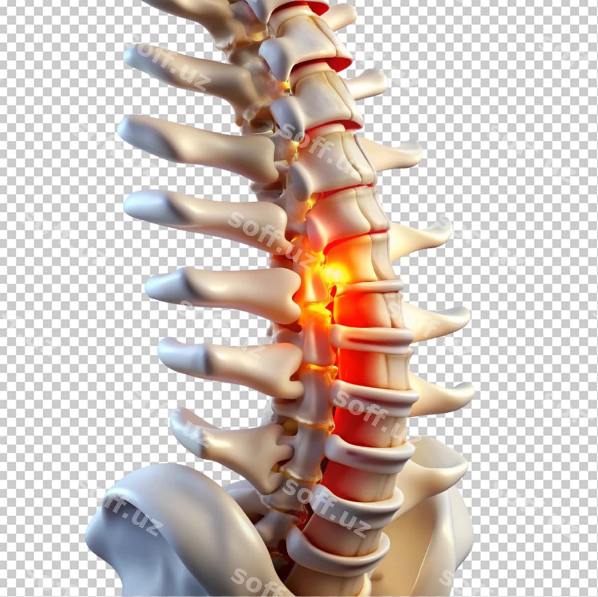 Yaralangan bel osti shaffof fonda | Injured lumbar transparent background