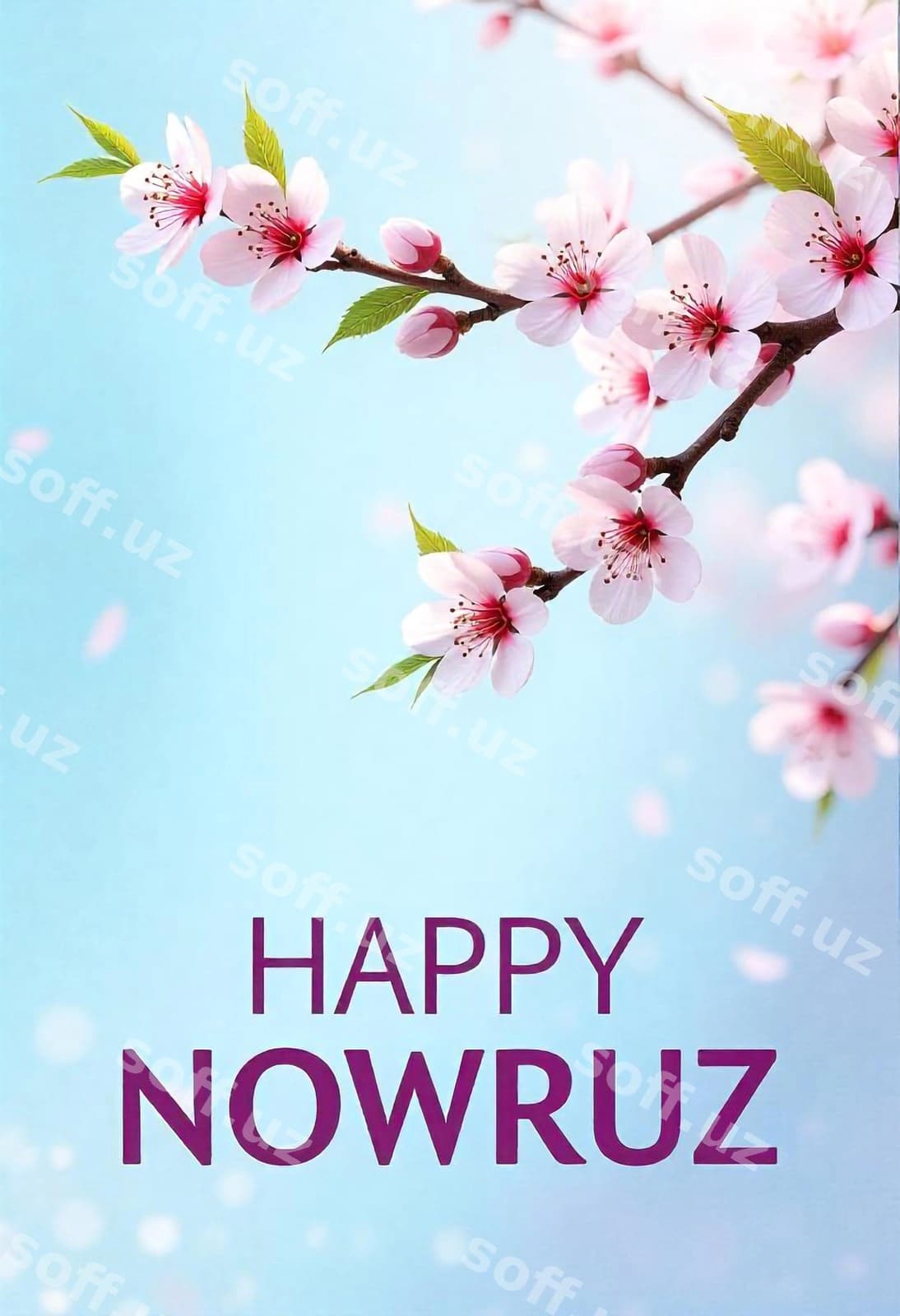 Xalqaro Navro'z kuni | International day nowruz
