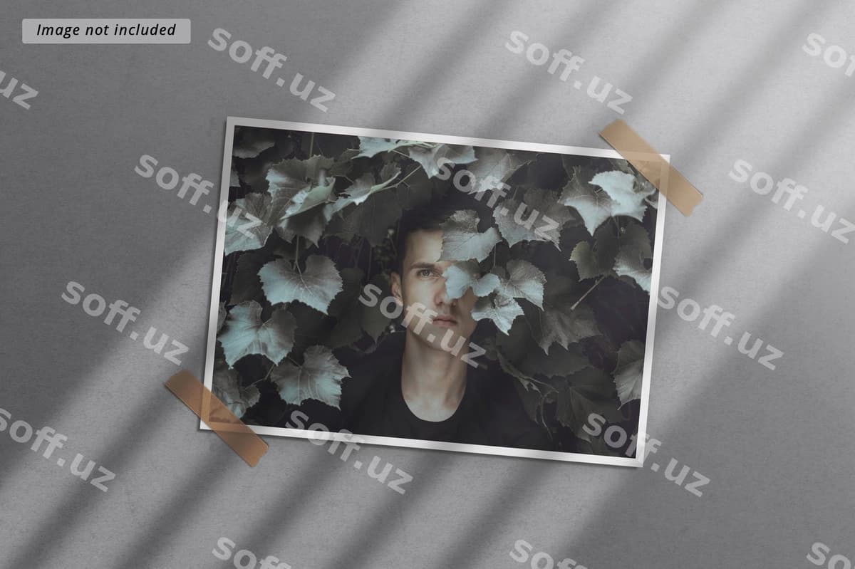 Peyston foto freym modeli | Landscape photo frame mockup