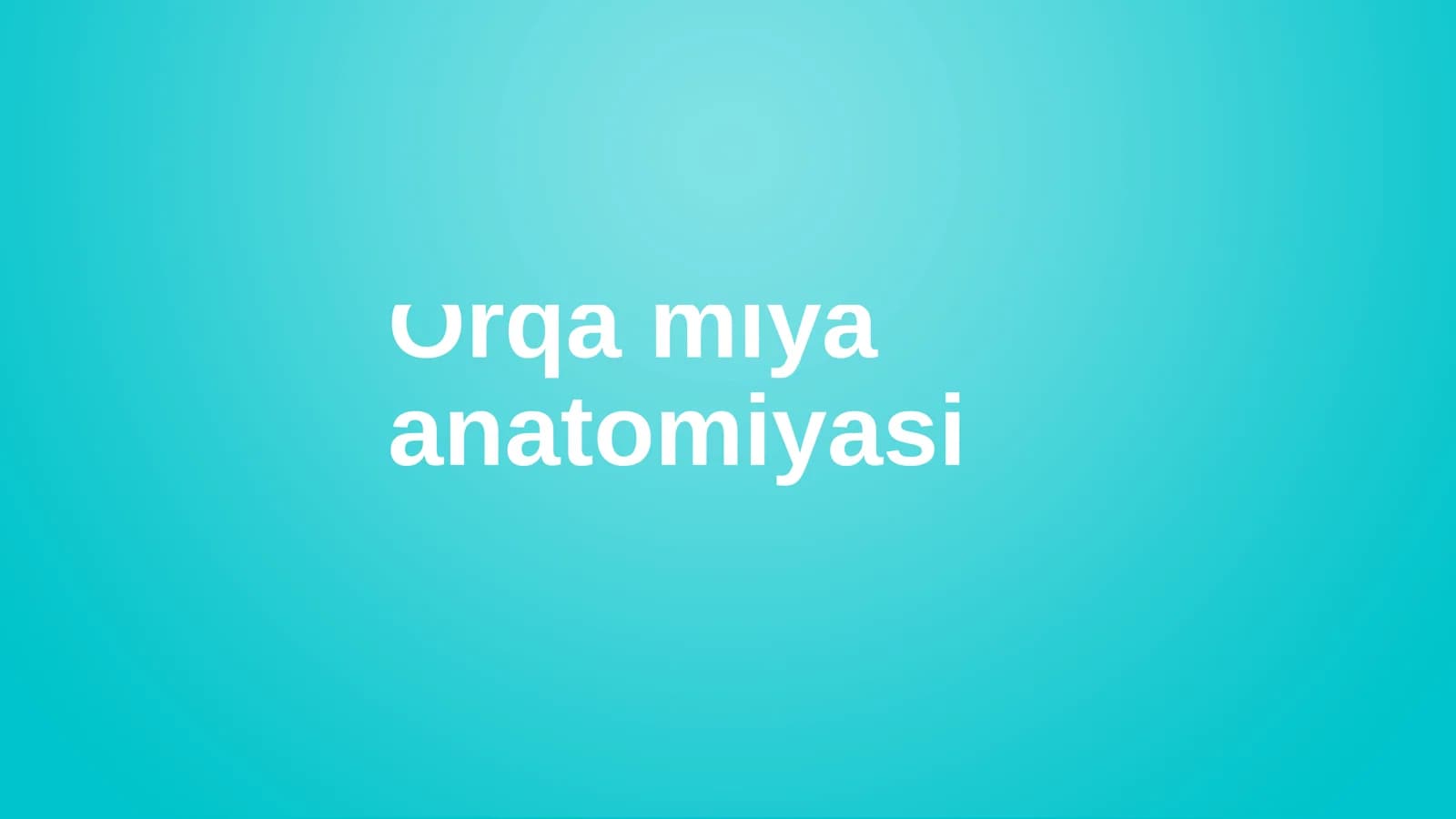 Orqa Miya Anatomiyasi