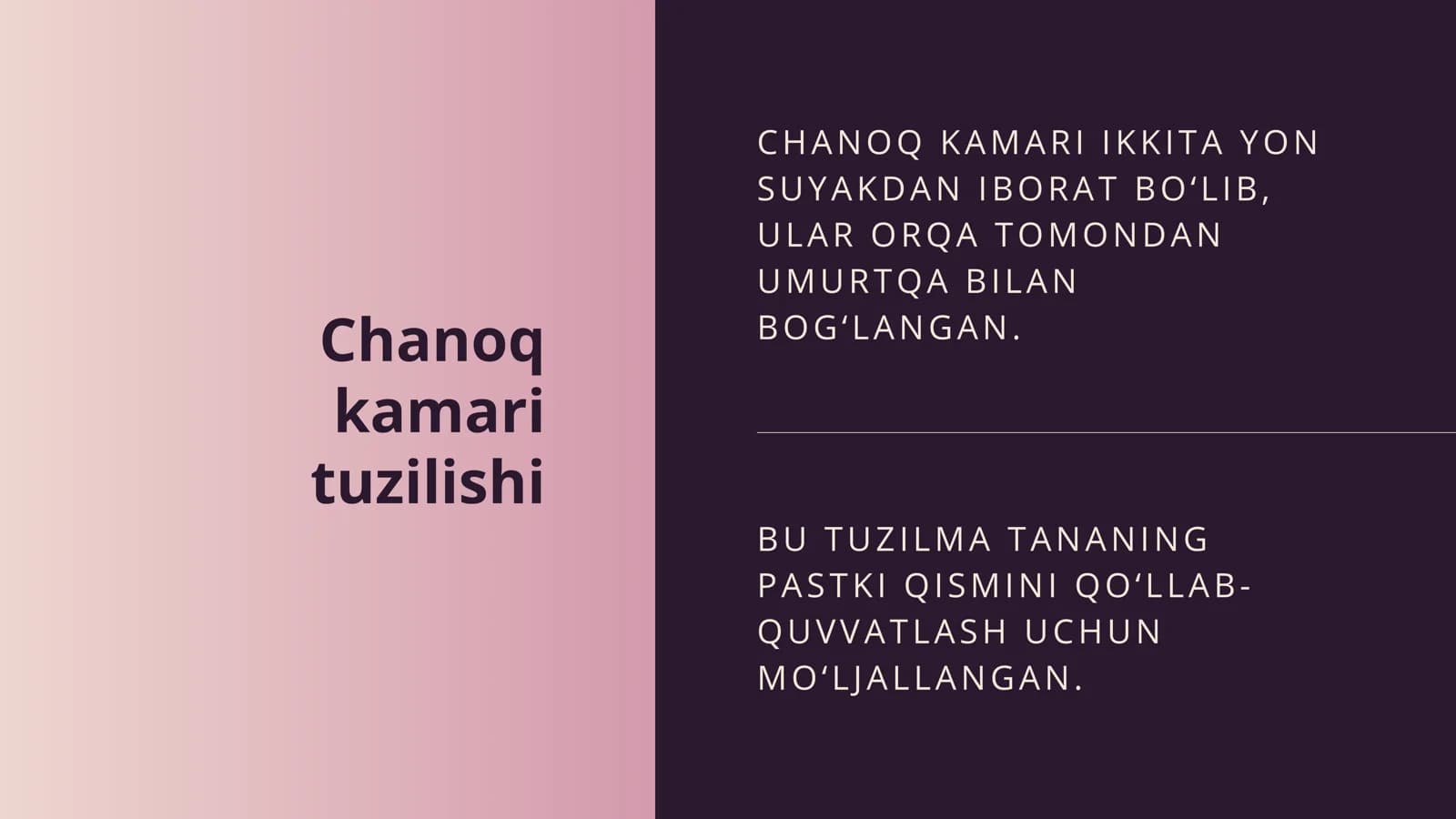 Chanoq kamari tuzilishi