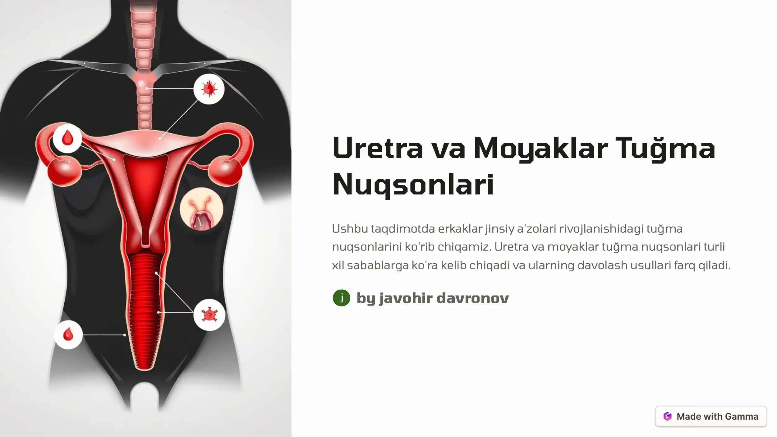Uretra va Moyaklar Tuğma