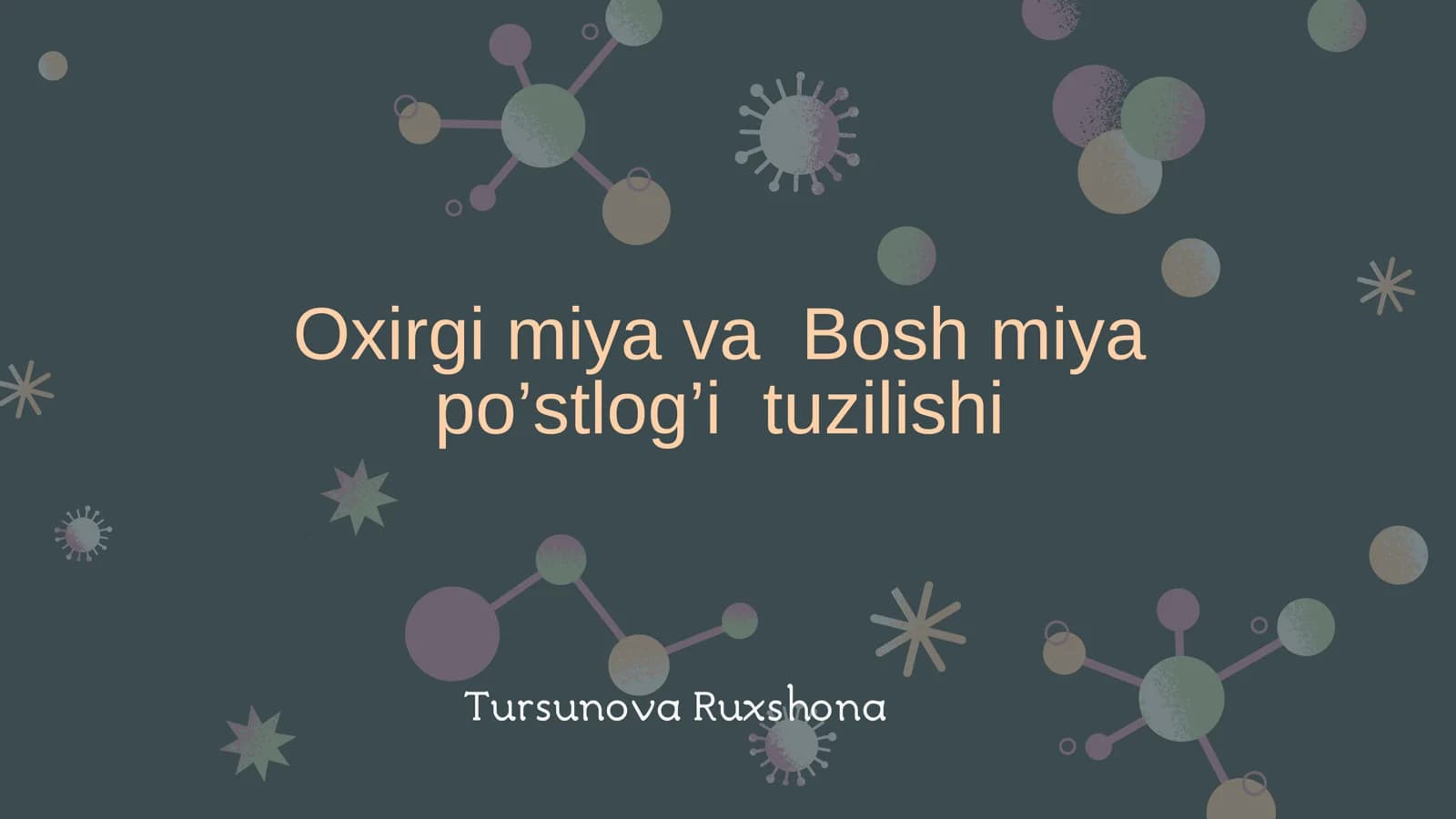Oxirgi miya va Bosh miya