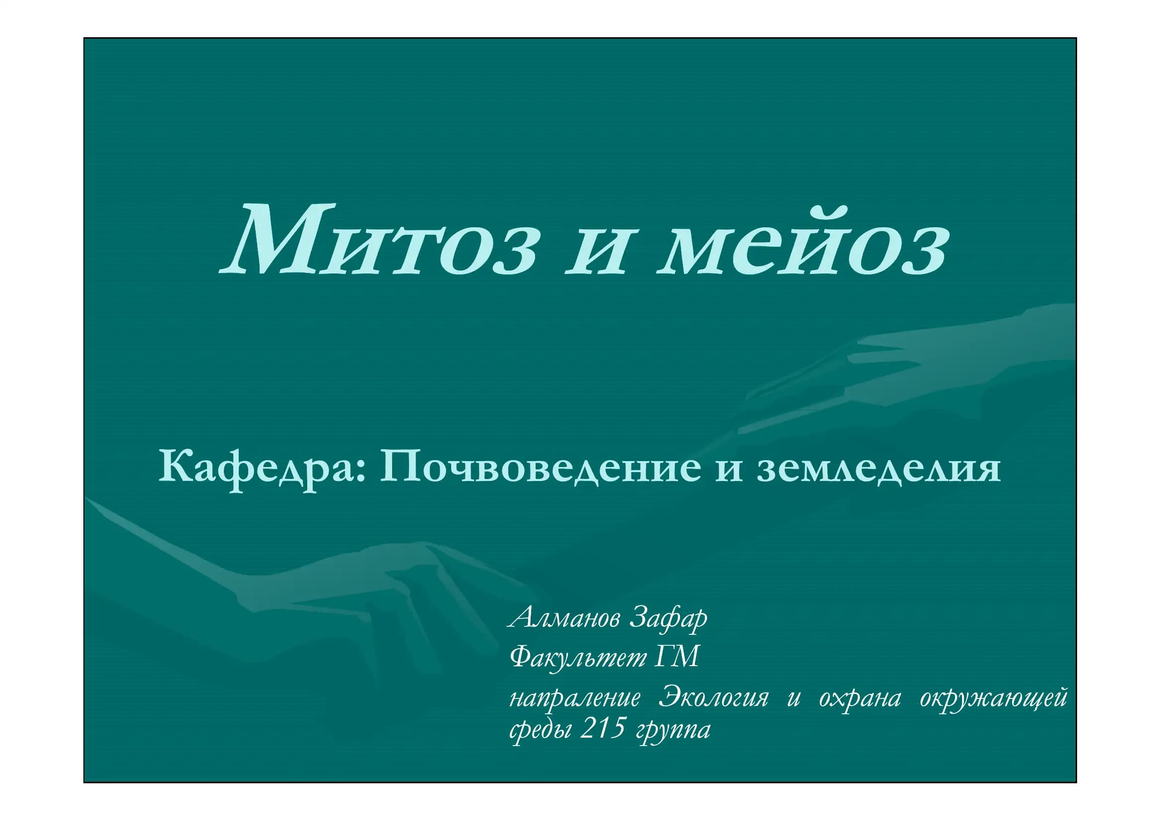 Митоз и мейоз