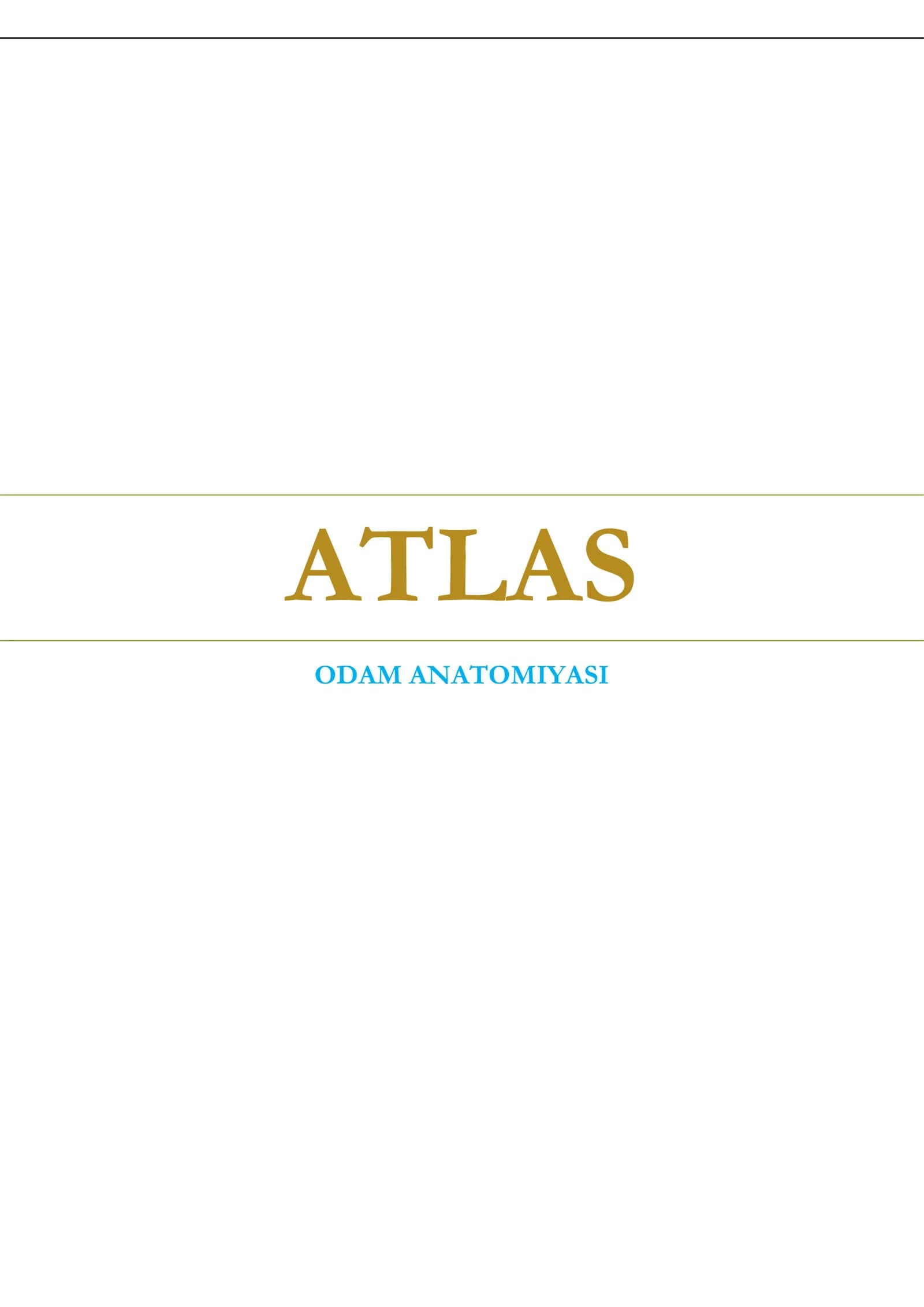 ATLAS ODAM ANATOMIYASI