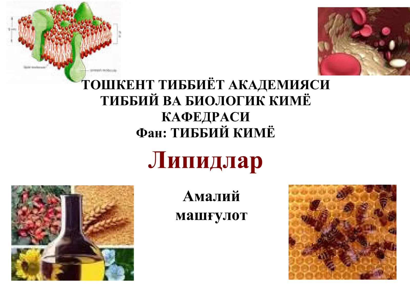 Липидлар
