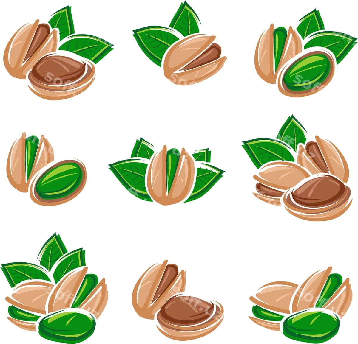 Pistachiy vektor komplekti | Pistachio nuts set vector