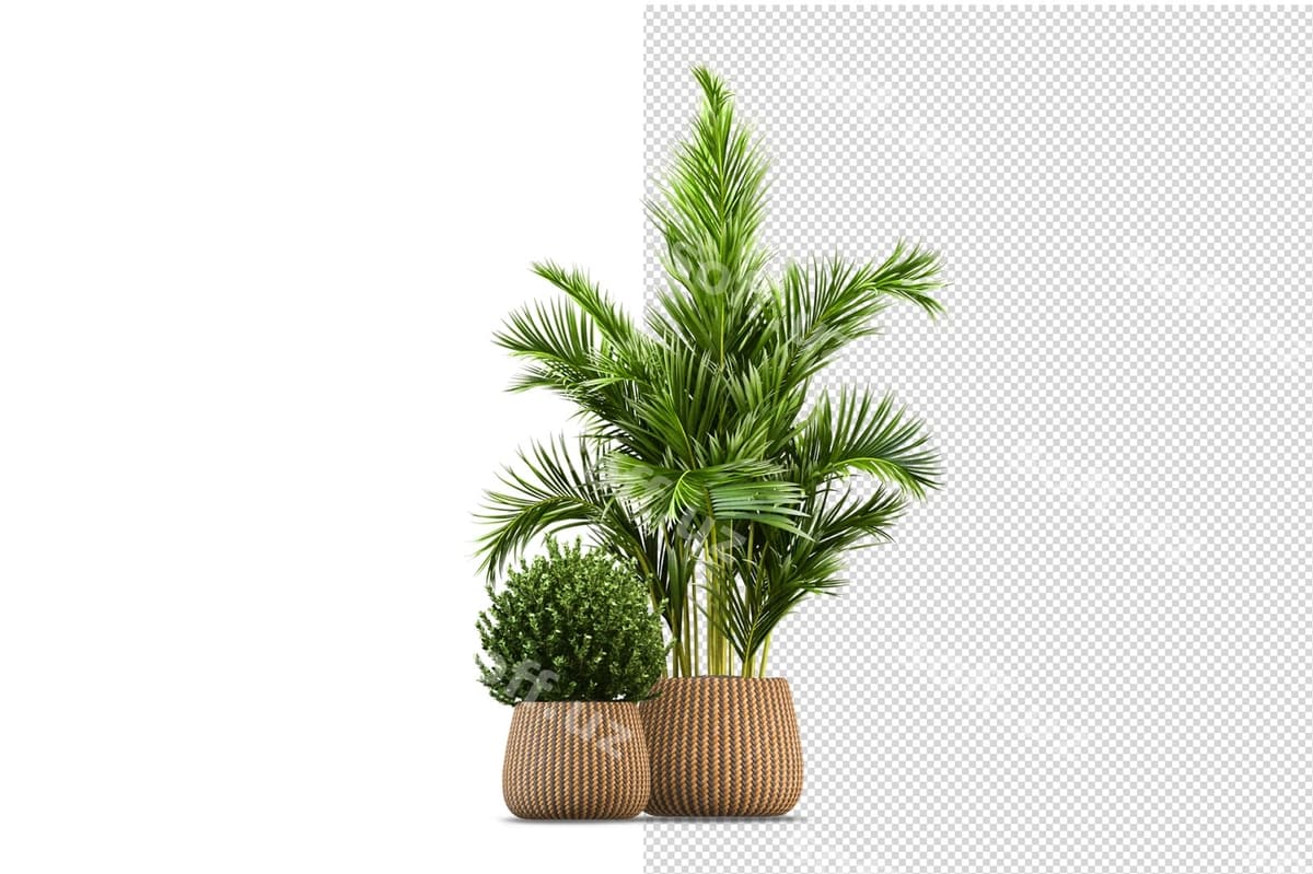 O'simliklar turli xil burchlarda sahna yaratuvchi | Plants various angles scene creator