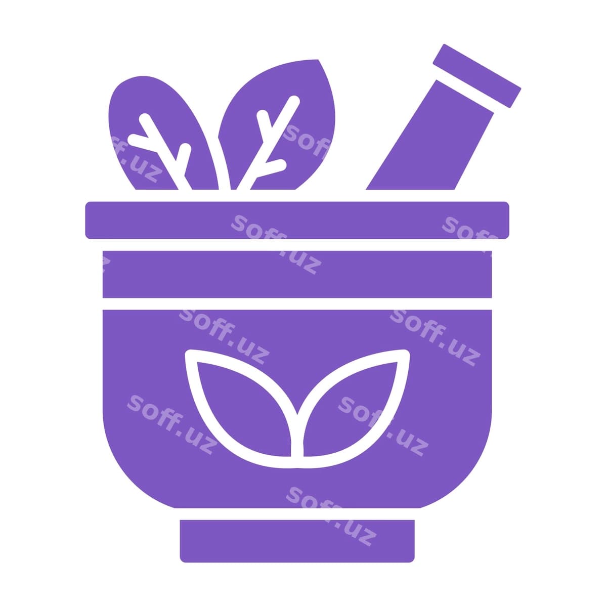 Binafshe guli binafshe qapali uni eking | Purple pot with purple lid plant it