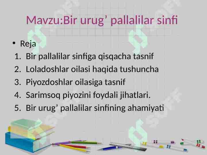 Bir urug’ pallalilar sinfi