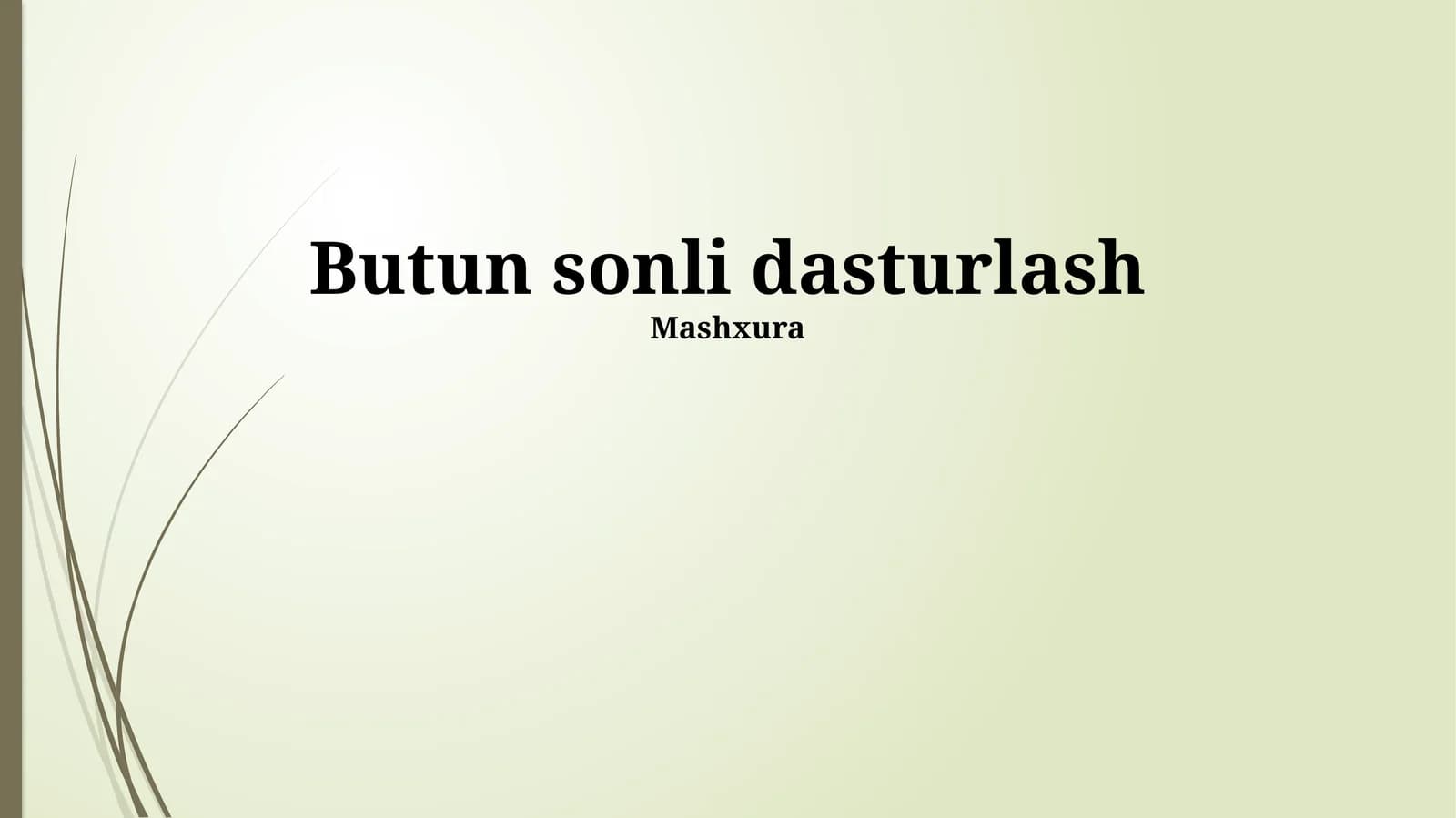 Butun Sonli Dasturlash Usullari