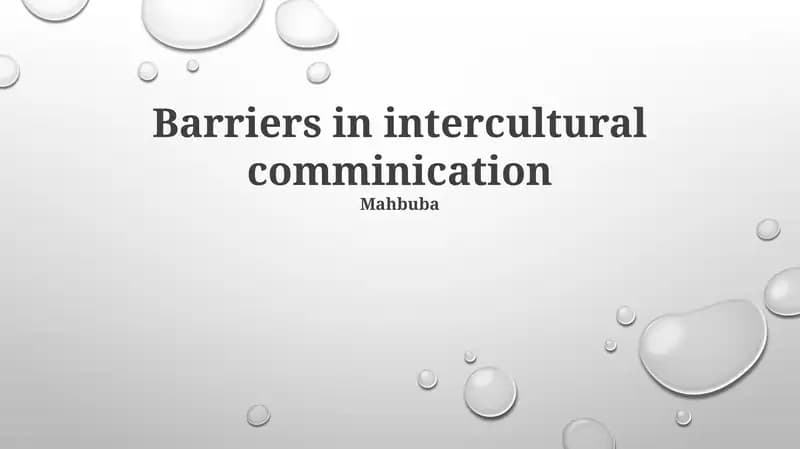 Barriers in intercultural communication