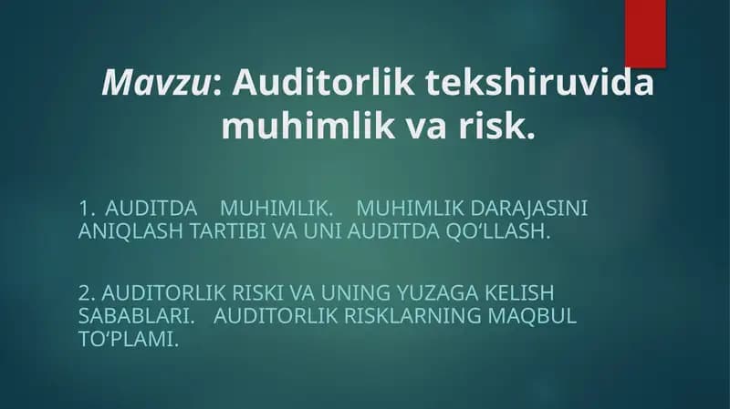 Audit faoliyati milliy standartlari