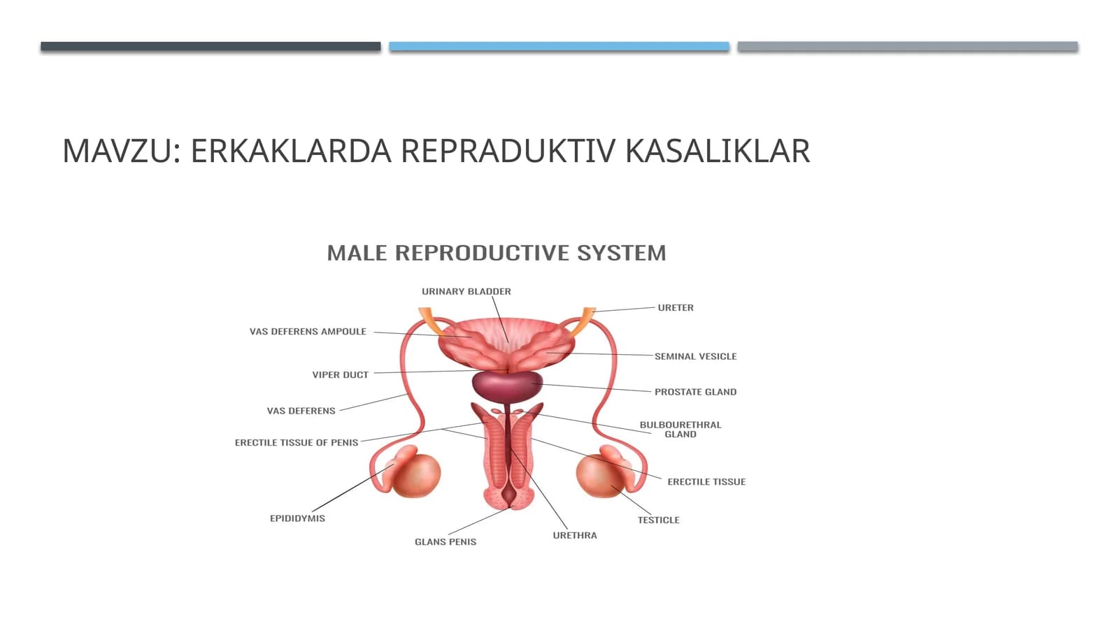 Erkaklarda repraduktiv kasaliklar