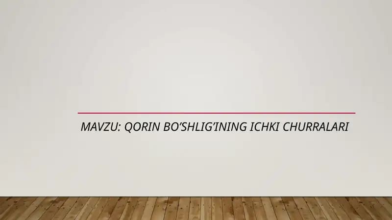 Qorin bo’shlig’ining ichki churralari