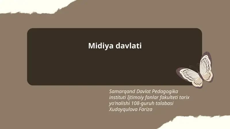 Midiya davlati