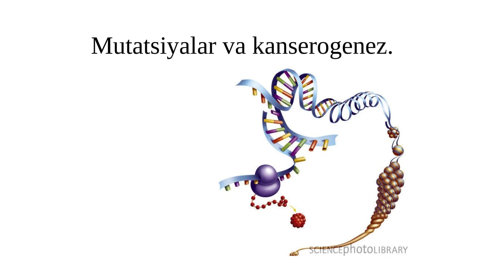 Mutatsiyalarva kanserogenez