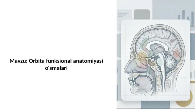 Orbita funksional anatomiyasi o'smalari