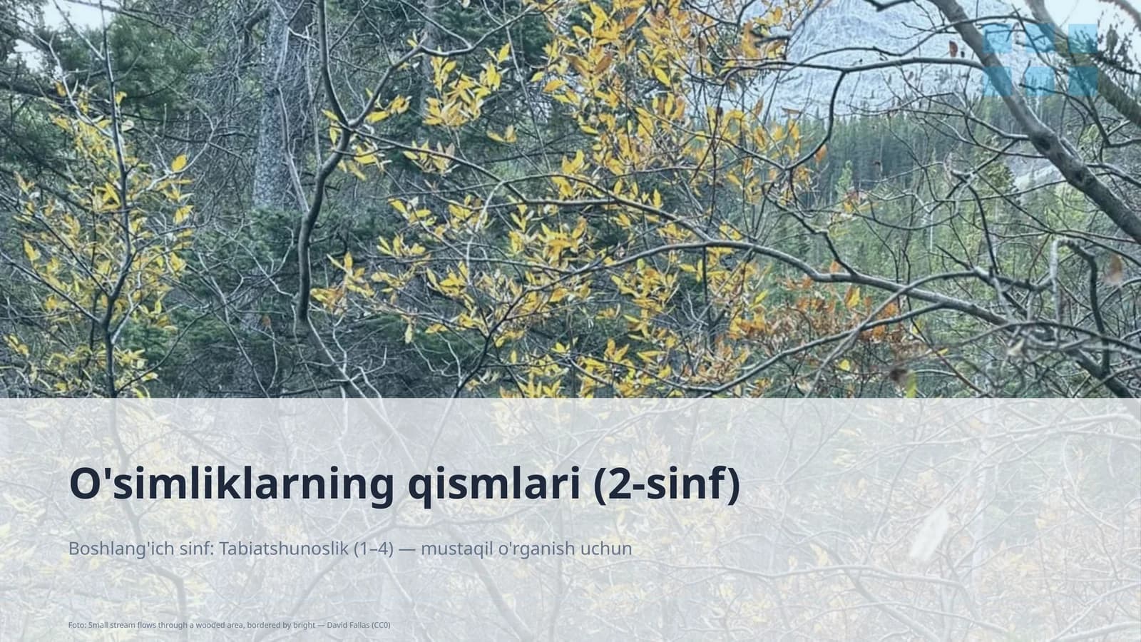 O'simliklarning qismlari (2-sinf)