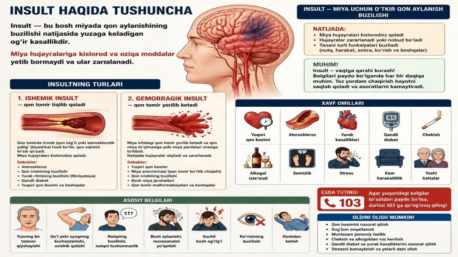 insult haqida tushuncha