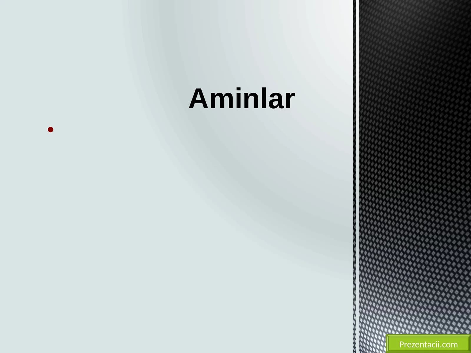 Aminlar