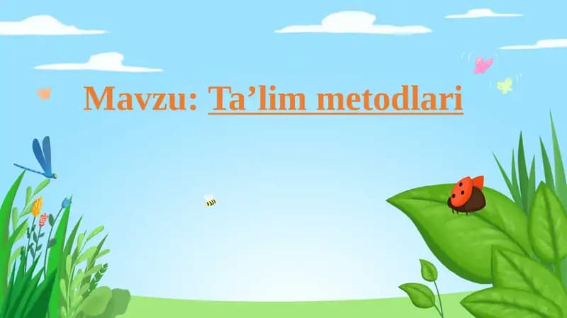 Ta’lim Metodlari