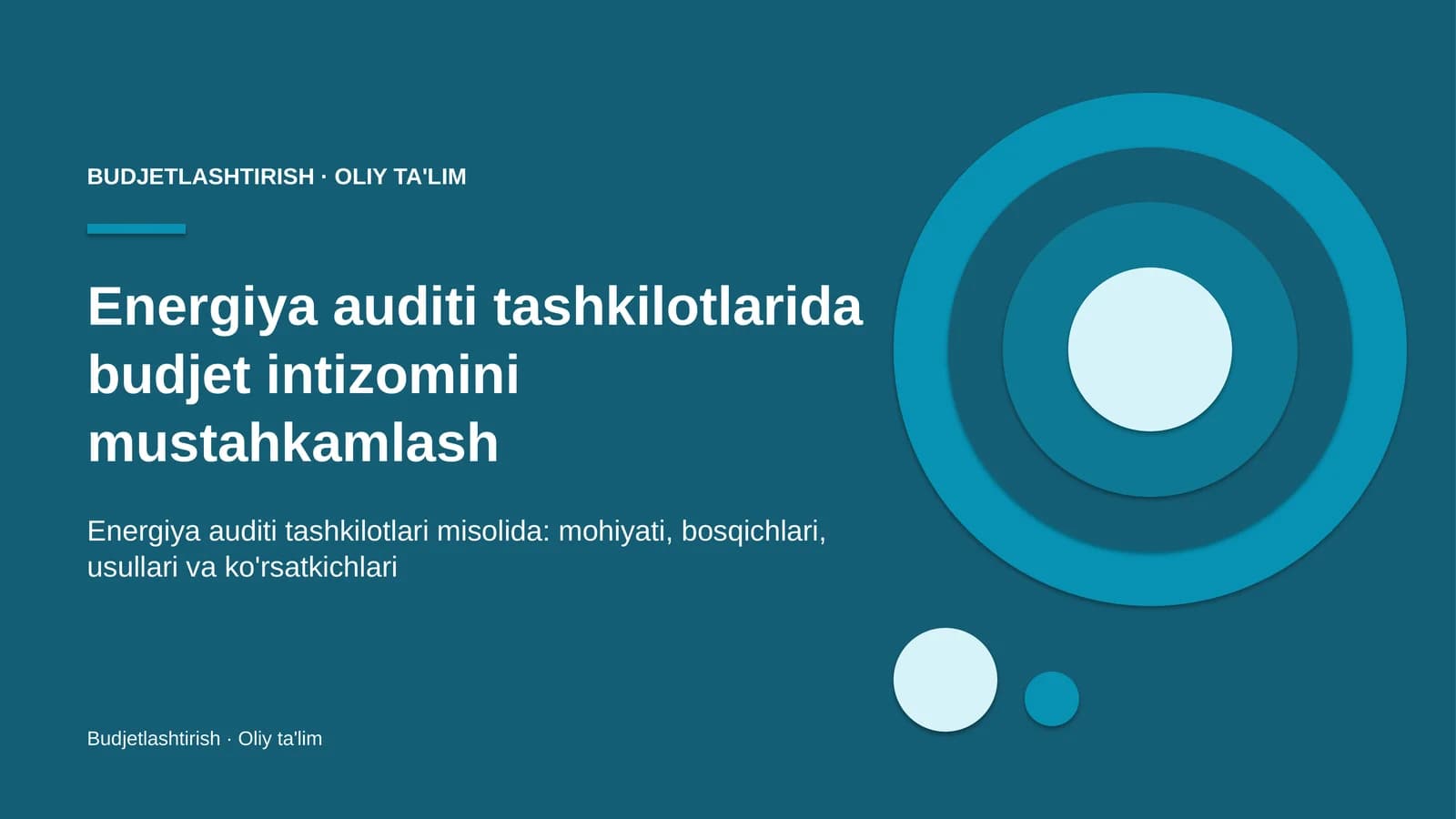 Energiya auditi tashkilotlarida budjet intizomini mustahkamlash