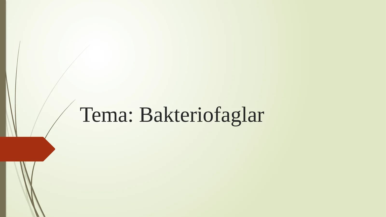 Bakteriofaglar