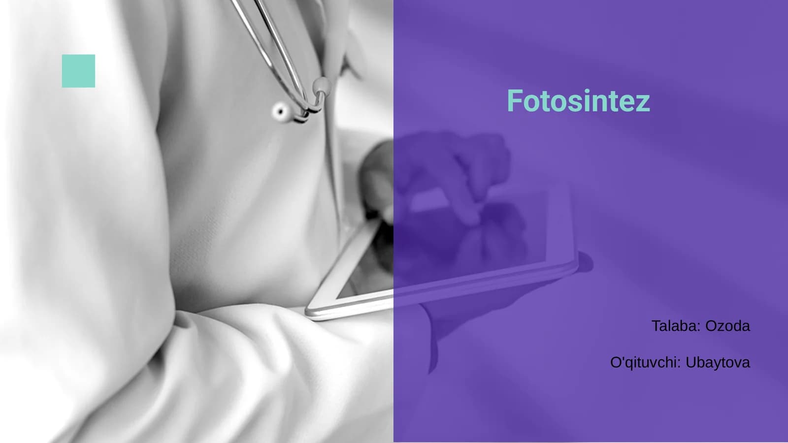 Fotosintez