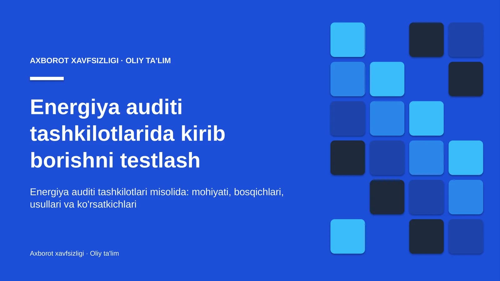 Energiya auditi tashkilotlarida kirib borishni testlash