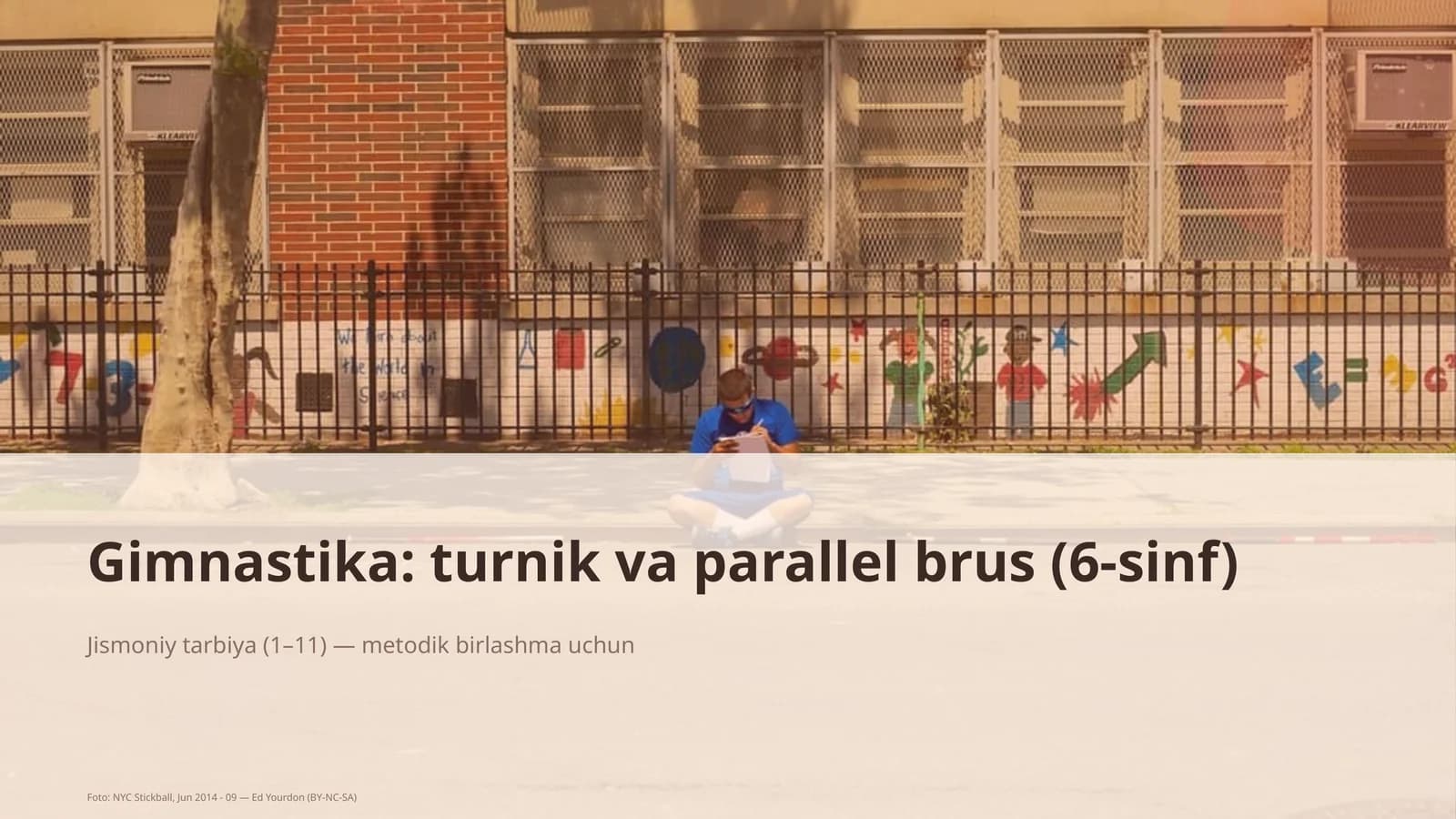 Gimnastika: turnik va parallel brus (6-sinf)