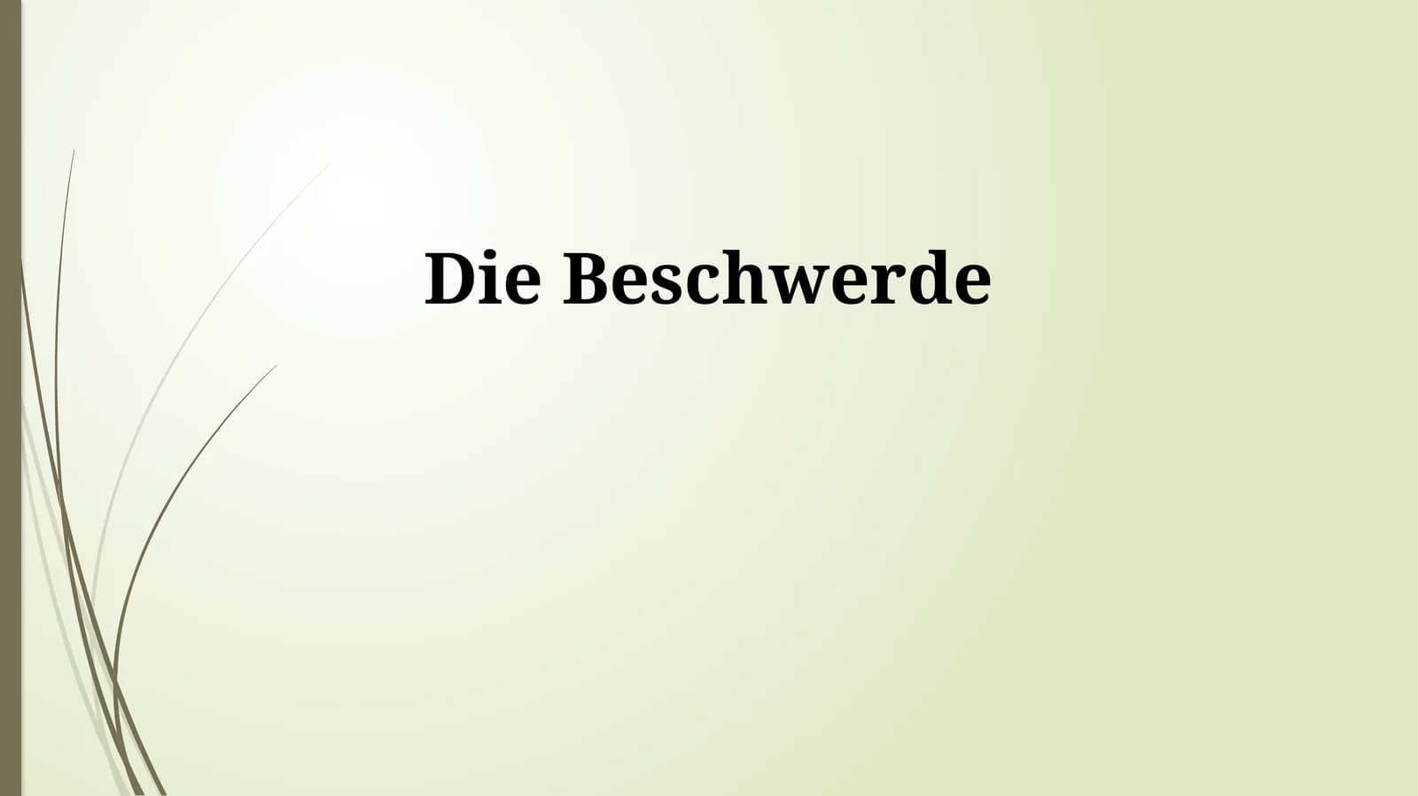 Die Beschwerde