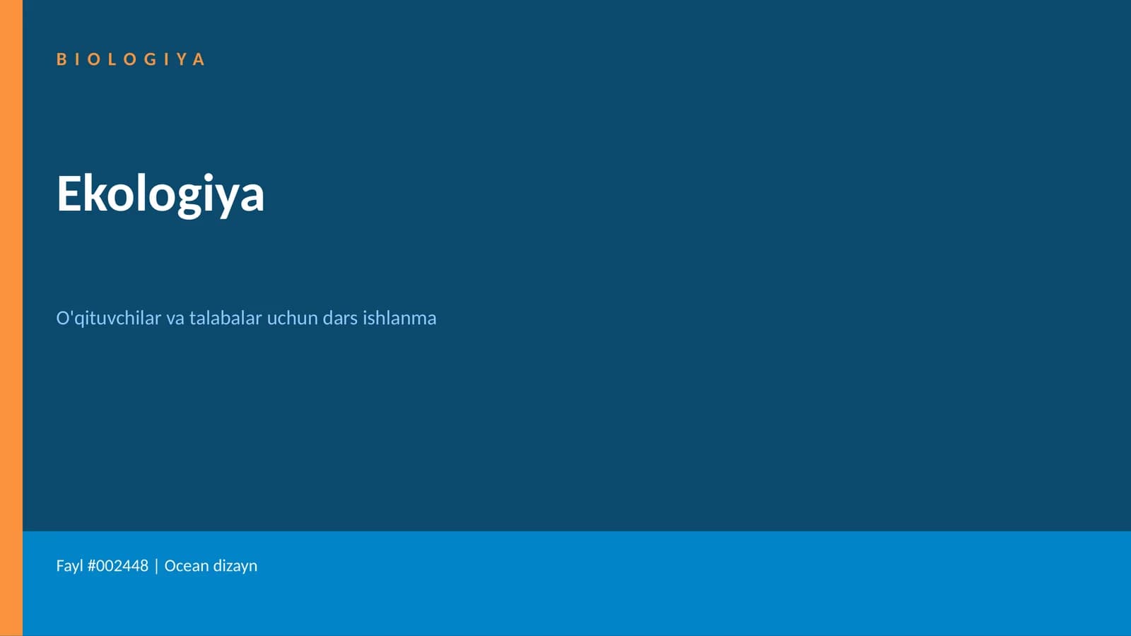 Ocean dizayn