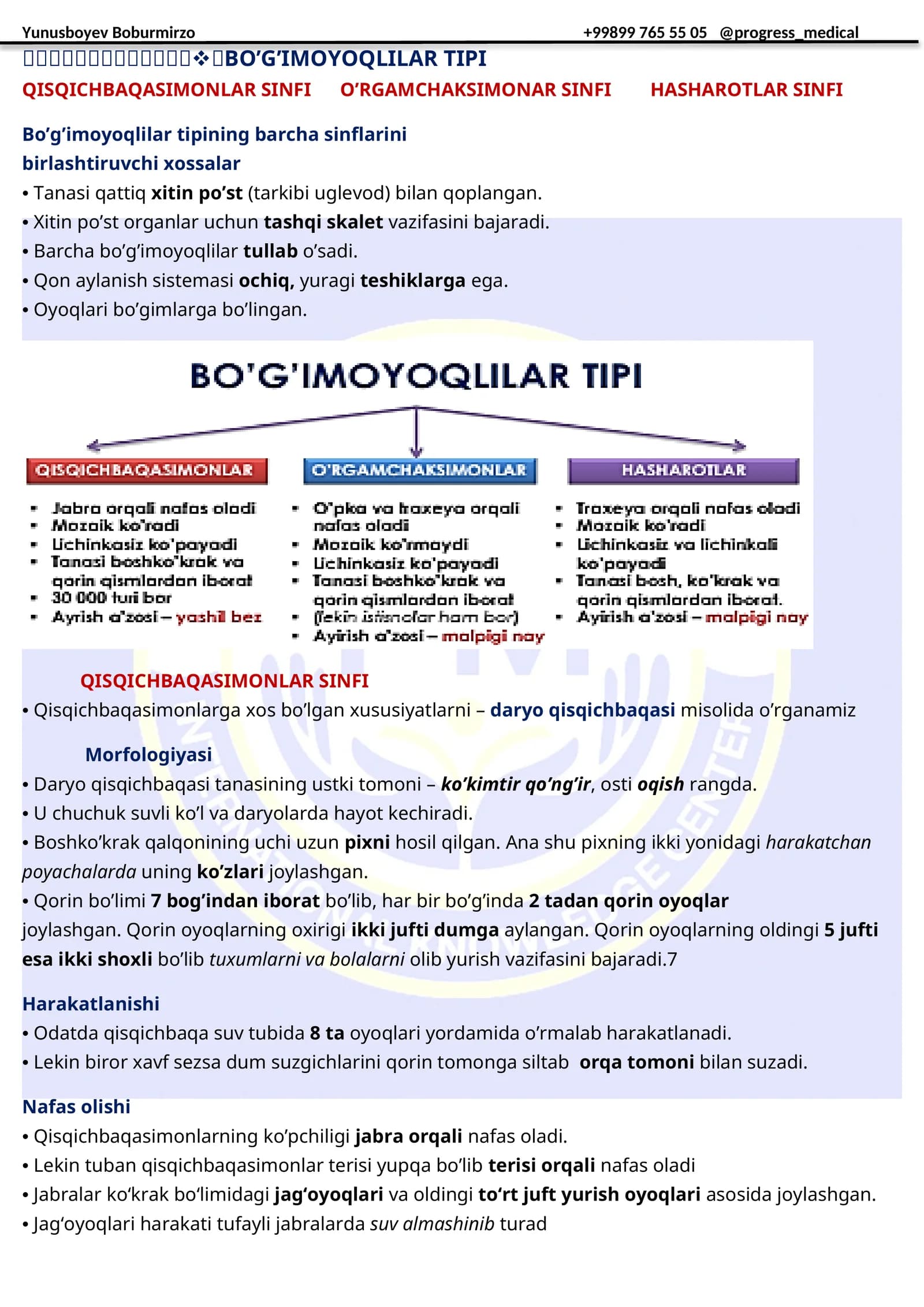 Bo’g’imoyoqlilar tipi