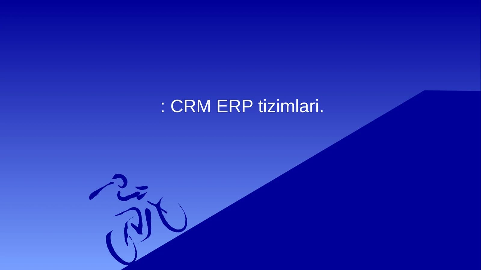 ERP tizimlari