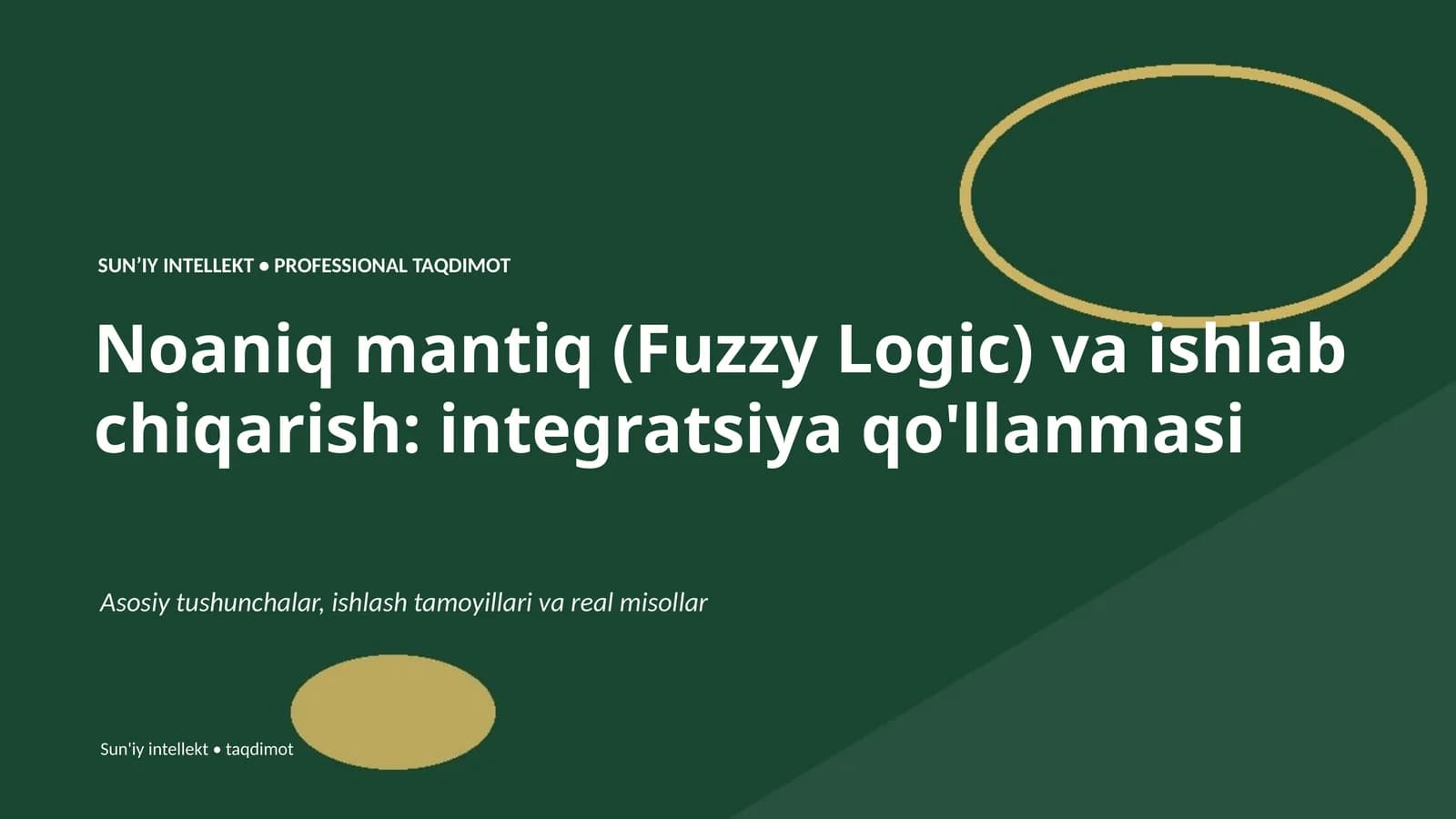 Sun'iy intellekt • Professional Taqdimot