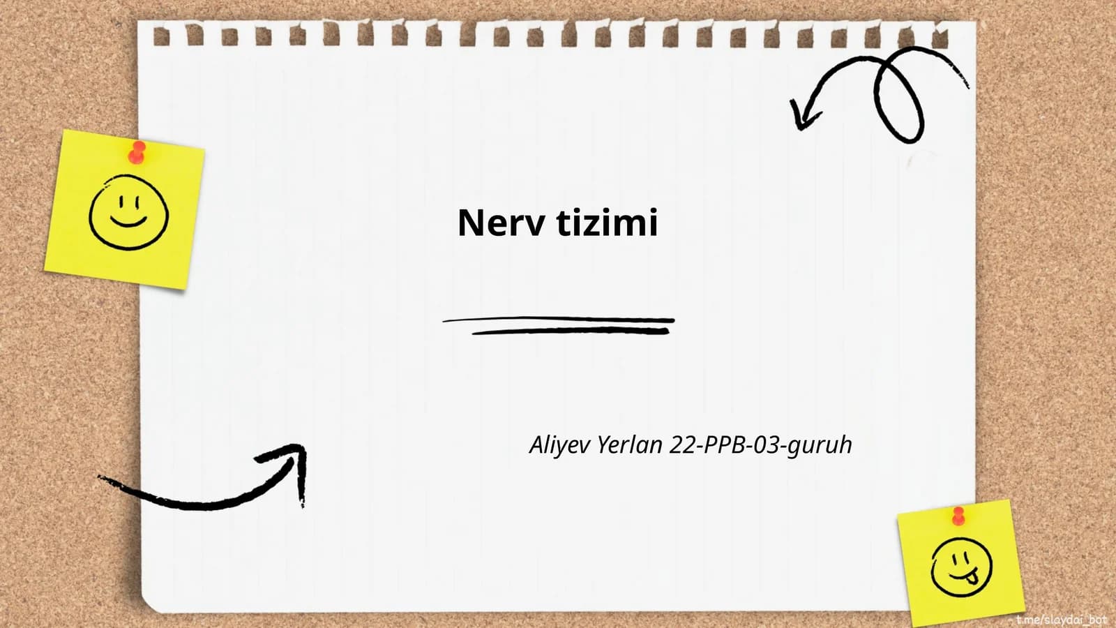 Nerv tizimi anatomiyasi