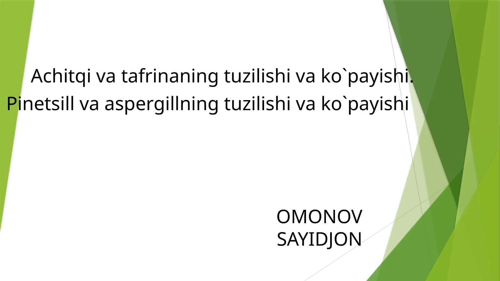 Achitqi zamburug‘i