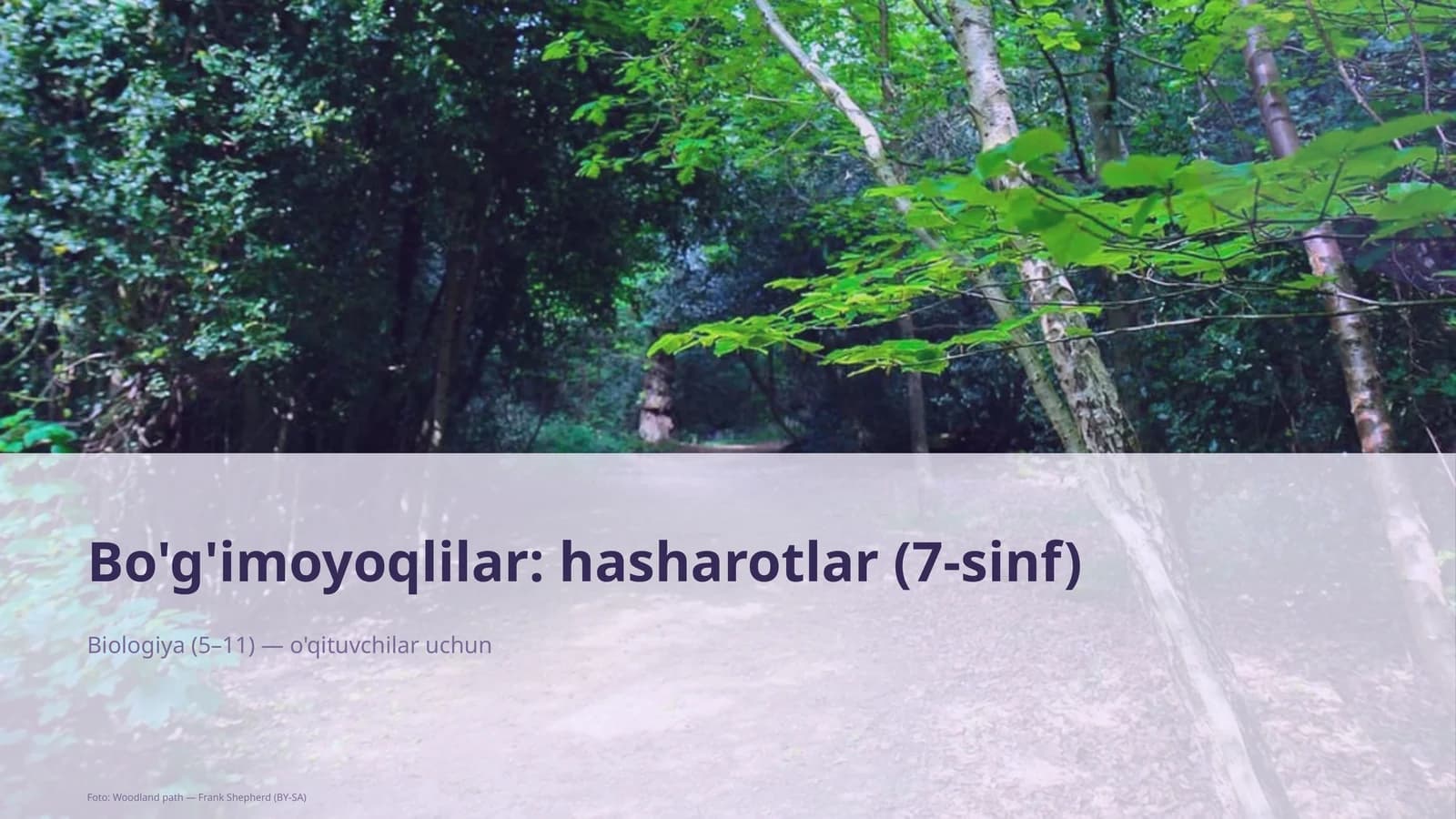 Bo'g'imoyoqlilar: hasharotlar (7-sinf)