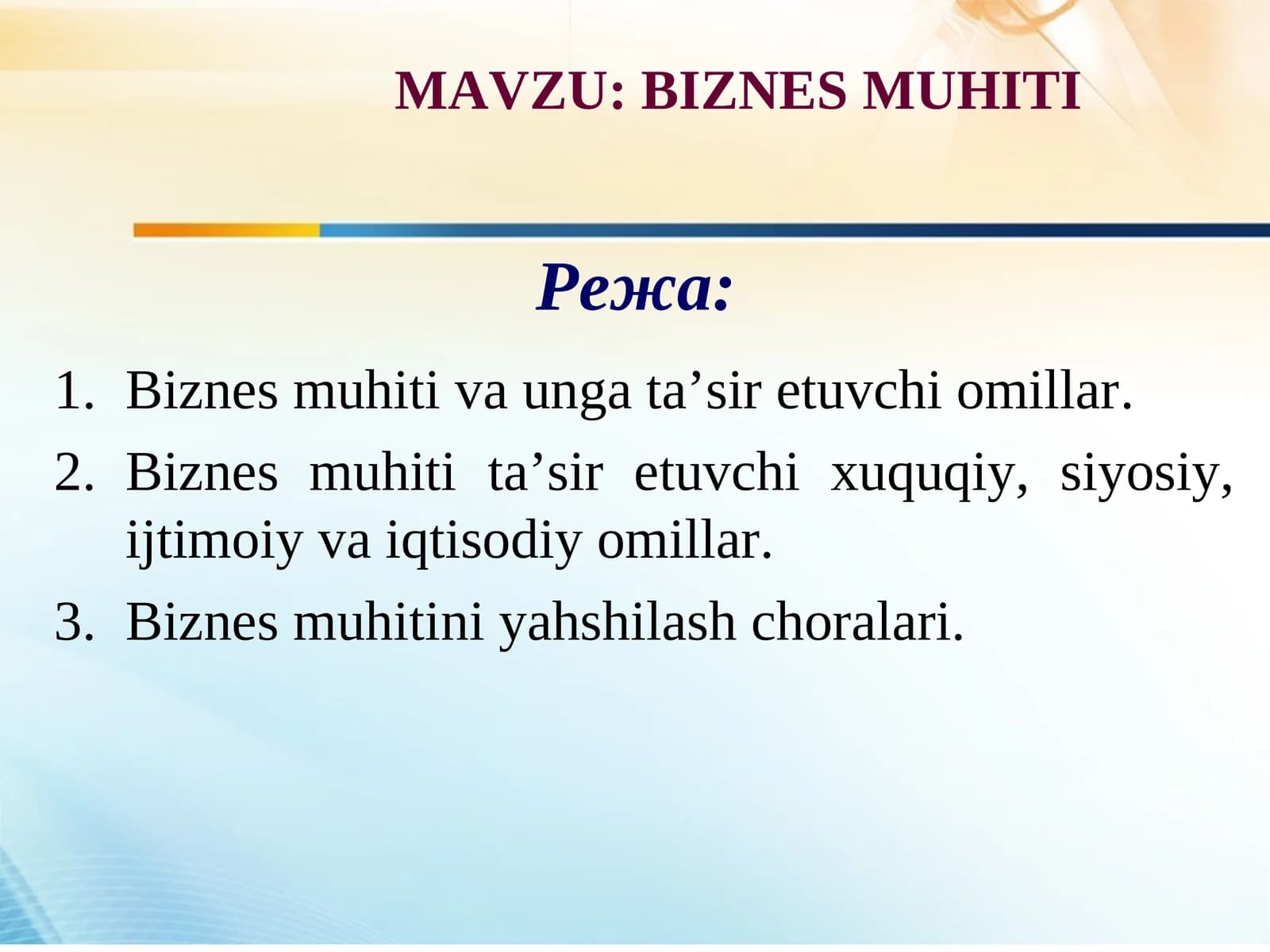 BIZNESMUHITI