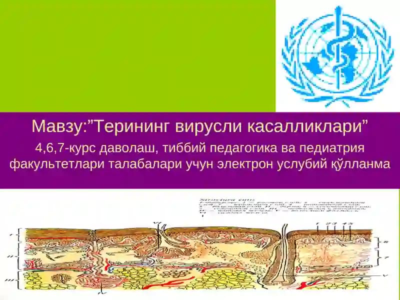 Терининг вирусли касалликлари