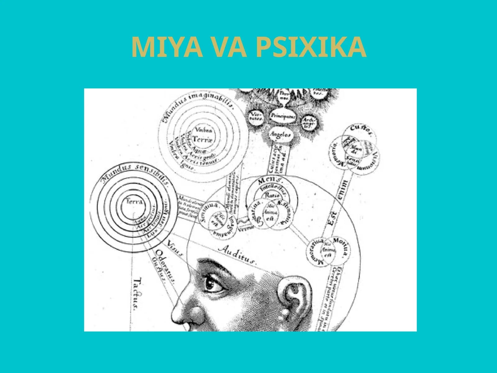 MIYA VA PSIXIKA
