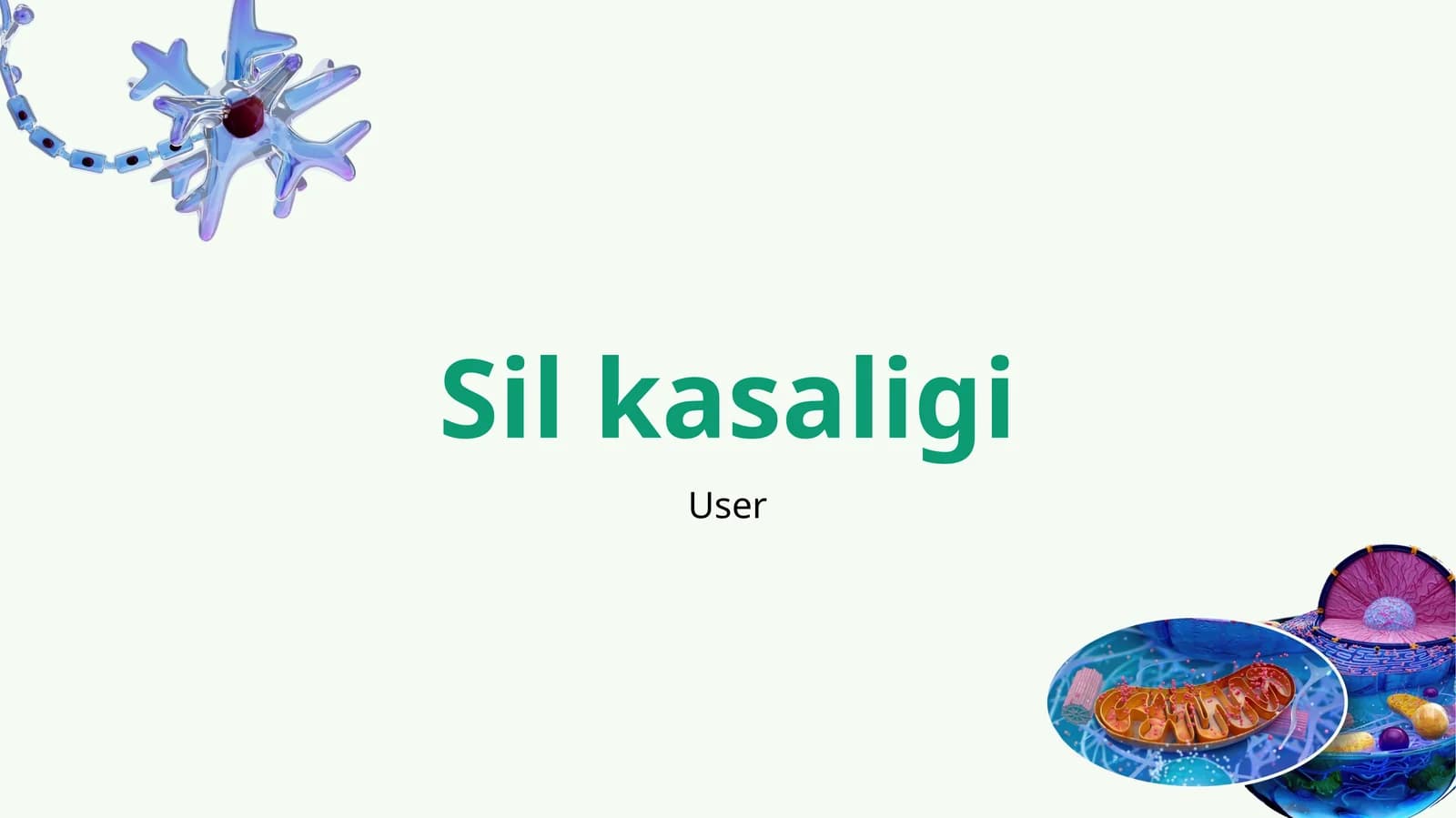 Sil kasaligi