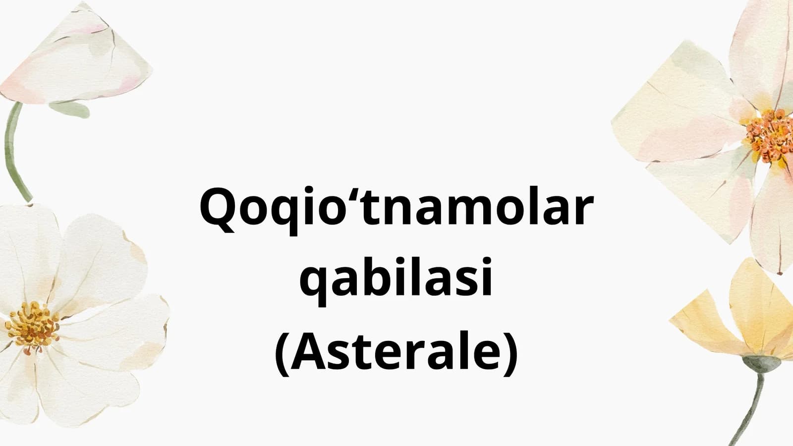Qoqioʻtnamolarqabilasi (Asterale)