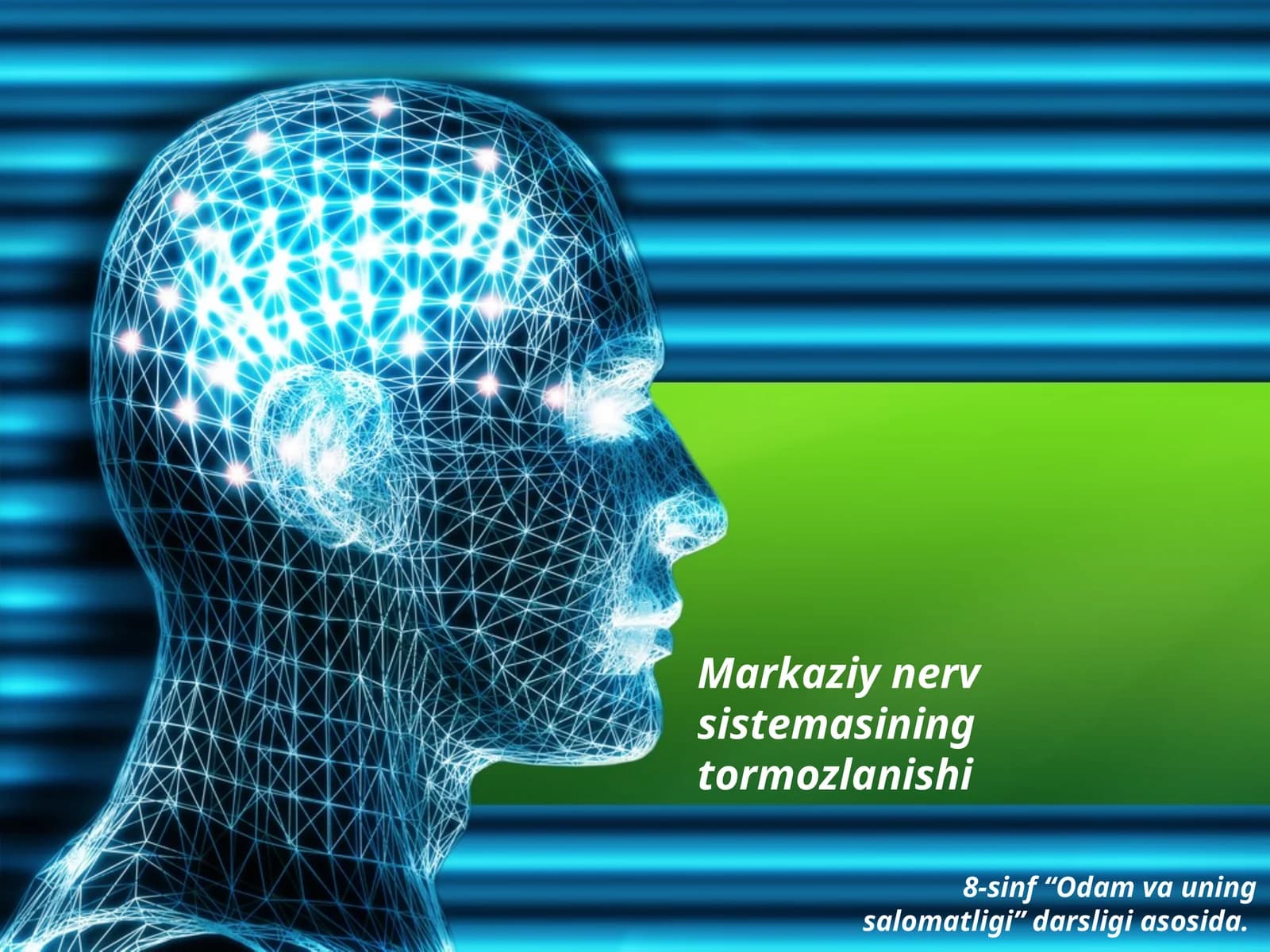 Markaziy nerv sistemasining tormozlanishi