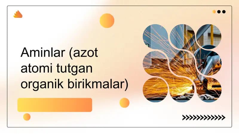 Aminlar