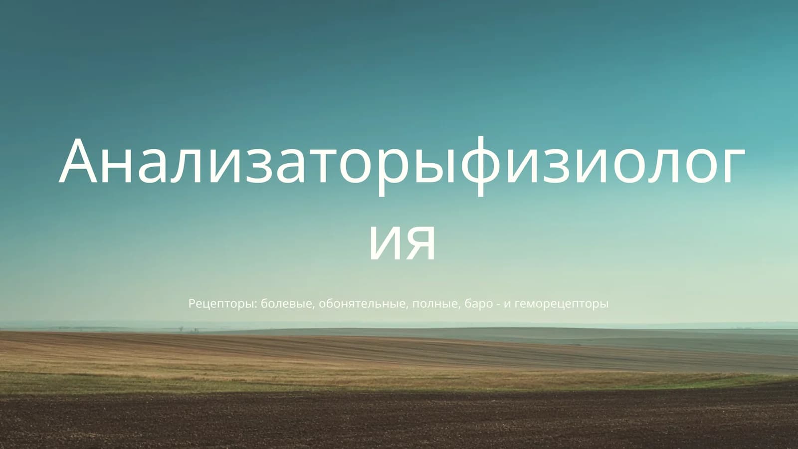 Анализаторыфизиология